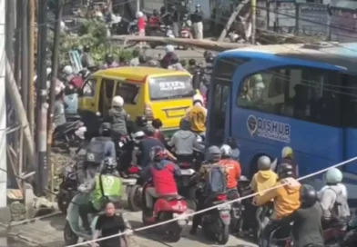 Pohon Tumbang Hambat Motor dan Bus, Lalu Lintas Cipondoh Tersendat