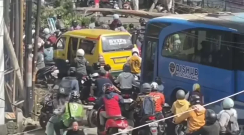 Pohon Tumbang Hambat Motor dan Bus, Lalu Lintas Cipondoh Tersendat