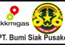Cuma Dua Kandidat Lolos, Seleksi Direksi BSP Bermasalah