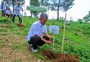 Seberapa Penting Penanaman Pohon Bagi Kelestarian Hutan Purwakarta?