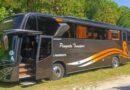Diduga Sakit, Sopir Bus Ambruk dan Meninggal di Simpang Tiga Pantai Slili