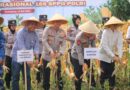 Panen Raya Jagung di Pandeglang Jadi Wujud Dukungan Polri terhadap Ketahanan Pangan Nasional