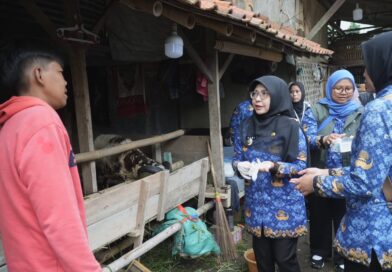 Jelang Iduladha, Bupati Pandeglang Pastikan Hewan Kurban Sehat dan Layak