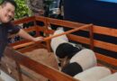 UPZ IKA Unpad Distribusikan Daging Kurban kepada Mahasiswa dan Warga Sekitar Kampus
