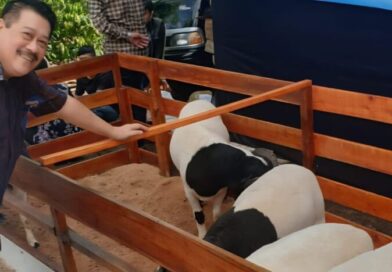 UPZ IKA Unpad Distribusikan Daging Kurban kepada Mahasiswa dan Warga Sekitar Kampus