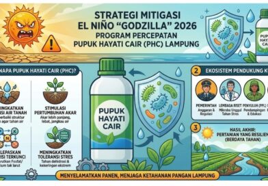 Antisipasi El Nino, Pemprov Lampung Siapkan Langkah Mitigasi untuk Pertanian