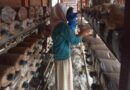 1.500 Baglog Jamur Ditata di Pringwulung, Langkah Nyata Perkuat Ketahanan Pangan Lokal