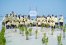 Dari Migas untuk Lingkungan, PHI Rehabilitasi Pesisir dan Mangrove di Pulau Pari Dari Migas untuk Lingkungan, PHI Rehabilitasi Pesisir dan Mangrove di Pulau Pari