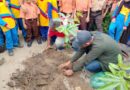 Sosialisasi dan Aksi Penghijauan, AMPHIBI Edukasi Siswa SDN 013829 Ledong Timur