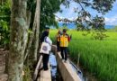 Nagan Raya Manfaatkan TKD untuk Percepat Pemulihan Sawah Pascabencana