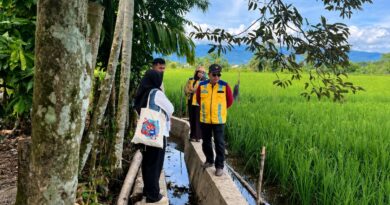 Nagan Raya Manfaatkan TKD untuk Percepat Pemulihan Sawah Pascabencana