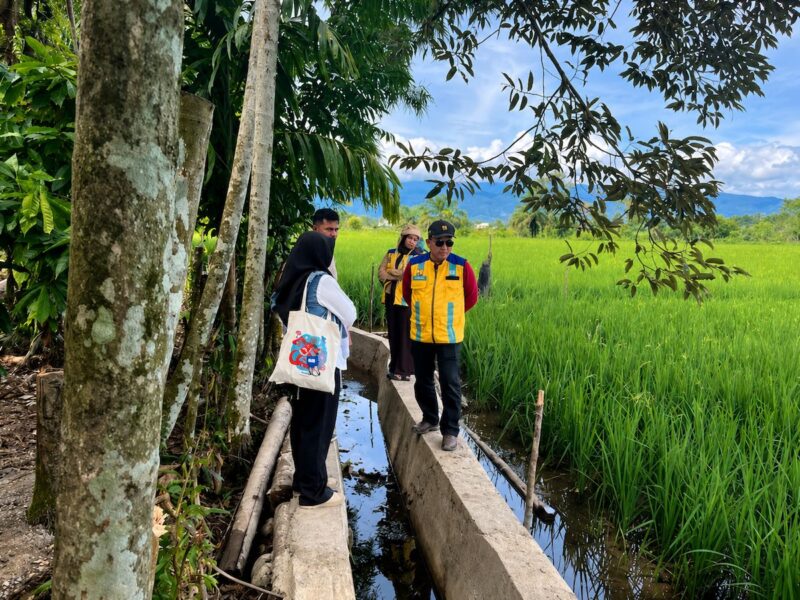 Nagan Raya Manfaatkan TKD untuk Percepat Pemulihan Sawah Pascabencana