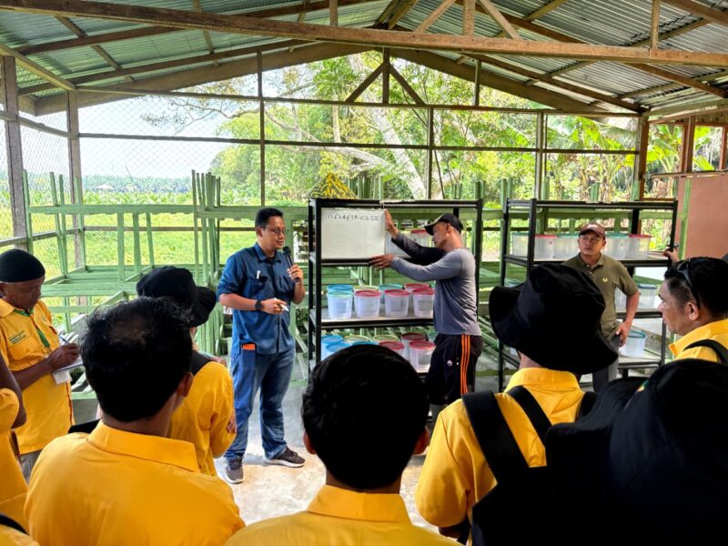 Pelatihan LPP Agro Bekali Pekebun Sawit dengan Pengetahuan dan Keterampilan Pelatihan LPP Agro Bekali Pekebun Sawit dengan Pengetahuan dan Keterampilan