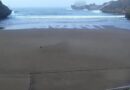 Gelombang Pasang Ubah Lanskap Pantai Baron, Aliran Sungai Kini Bergeser ke Sisi Barat