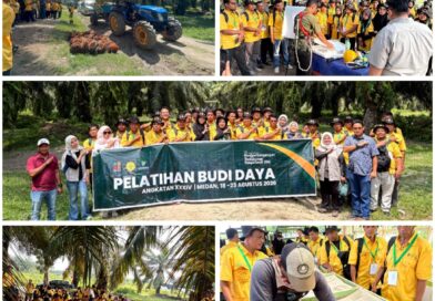 Produktivitas Sawit Labusel Digenjot, BPDP Bekali 87 Pekebun dengan Keterampilan