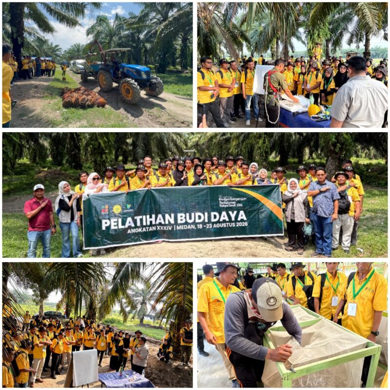 Produktivitas Sawit Labusel Digenjot, BPDP Bekali 87 Pekebun dengan Keterampilan