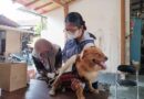 Cegah Rabies, Pemkot Yogyakarta Gelar Vaksinasi Gratis hingga 24 September