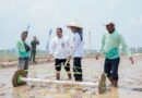 Pertanian Modern Diperkuat, Pemprov Lampung Dorong Produktivitas dan Pendapatan Petani