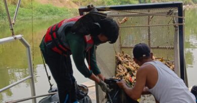 Keluhan Bau Tak Sedap di Kali Bekasi, Tim Katak Orange Bersihkan Bangkai Ikan